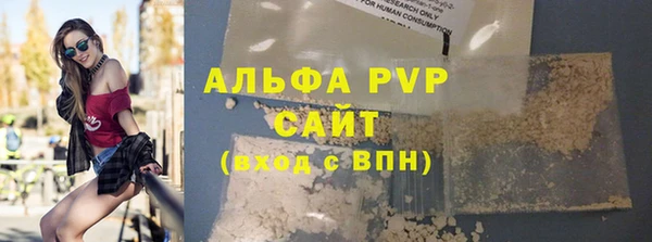 ECSTASY Богородицк