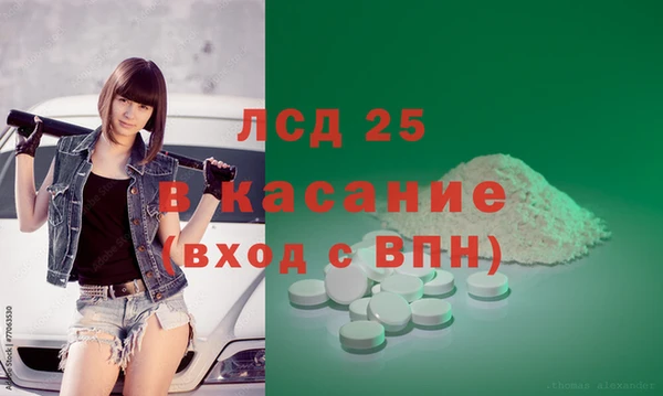 ECSTASY Богородицк