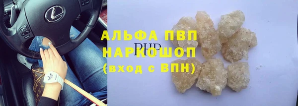 ECSTASY Богородицк