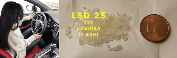 ECSTASY Богородицк