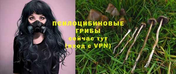 мяу мяу мука Богданович