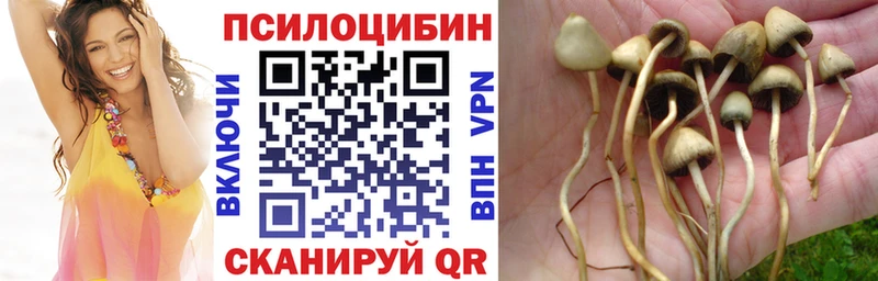 Галлюциногенные грибы MAGIC MUSHROOMS  наркотики  Нахабино 